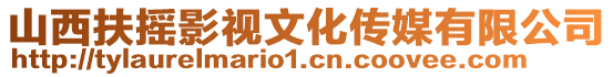 山西扶搖影視文化傳媒有限公司