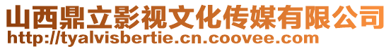 山西鼎立影視文化傳媒有限公司