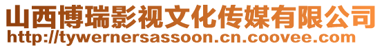 山西博瑞影視文化傳媒有限公司