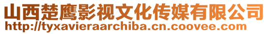 山西楚鷹影視文化傳媒有限公司