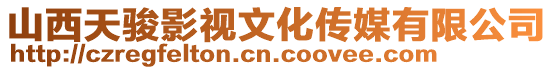 山西天駿影視文化傳媒有限公司