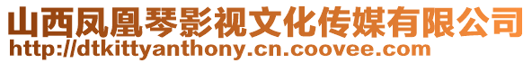 山西鳳凰琴影視文化傳媒有限公司