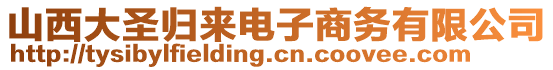 山西大圣歸來(lái)電子商務(wù)有限公司