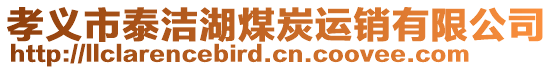 孝義市泰潔湖煤炭運銷有限公司