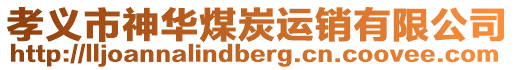 孝義市神華煤炭運(yùn)銷(xiāo)有限公司