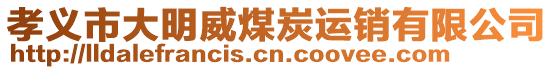 孝義市大明威煤炭運銷有限公司