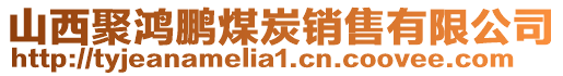 山西聚鴻鵬煤炭銷售有限公司