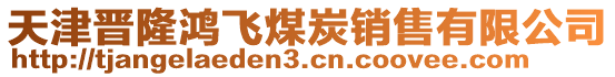 天津晉隆鴻飛煤炭銷售有限公司