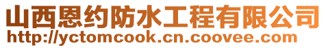 山西恩約防水工程有限公司
