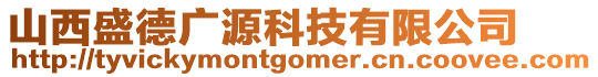 山西盛德廣源科技有限公司