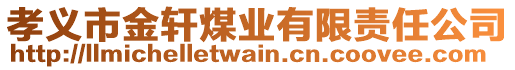 孝義市金軒煤業(yè)有限責(zé)任公司