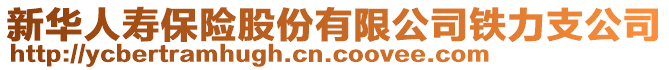 新華人壽保險股份有限公司鐵力支公司