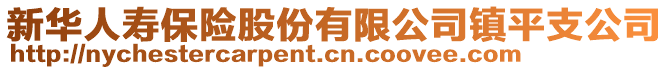 新華人壽保險(xiǎn)股份有限公司鎮(zhèn)平支公司