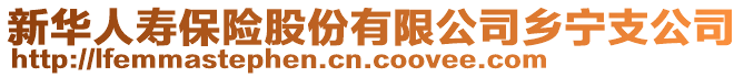 新華人壽保險股份有限公司鄉(xiāng)寧支公司