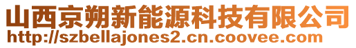 山西京朔新能源科技有限公司