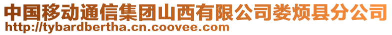 中國移動通信集團(tuán)山西有限公司婁煩縣分公司