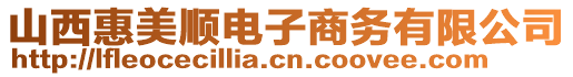 山西惠美順電子商務(wù)有限公司