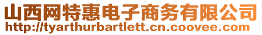 山西網(wǎng)特惠電子商務(wù)有限公司