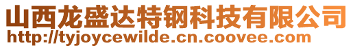 山西龍盛達(dá)特鋼科技有限公司