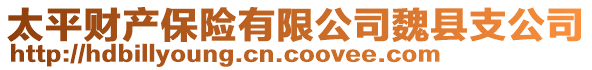 太平财产保险有限公司魏县支公司