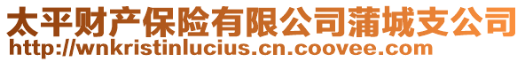 太平財(cái)產(chǎn)保險(xiǎn)有限公司蒲城支公司