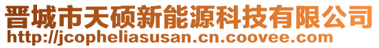 晉城市天碩新能源科技有限公司