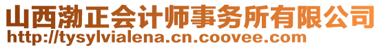 山西渤正會計師事務(wù)所有限公司