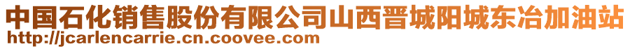 中國(guó)石化銷售股份有限公司山西晉城陽(yáng)城東冶加油站