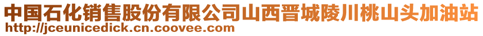 中國(guó)石化銷售股份有限公司山西晉城陵川桃山頭加油站