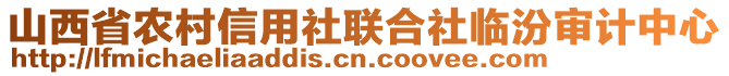 山西省農(nóng)村信用社聯(lián)合社臨汾審計(jì)中心