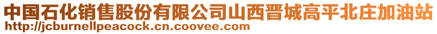 中國(guó)石化銷售股份有限公司山西晉城高平北莊加油站