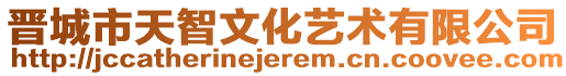 晉城市天智文化藝術(shù)有限公司