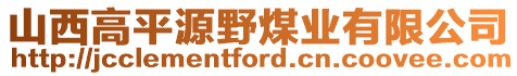 山西高平源野煤業(yè)有限公司