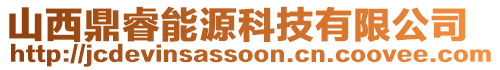 山西鼎睿能源科技有限公司