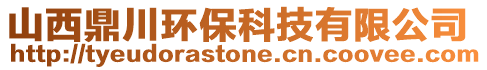 山西鼎川環保科技有限公司