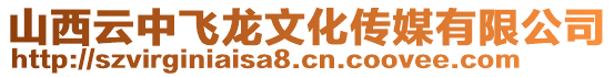 山西云中飞龙文化传媒有限公司