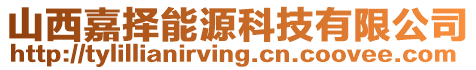 山西嘉擇能源科技有限公司