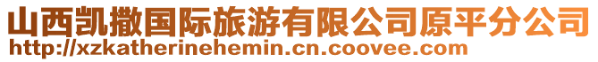 山西凱撒國(guó)際旅游有限公司原平分公司