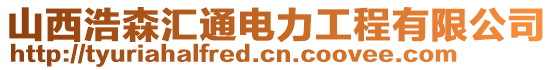 山西浩森汇通电力工程有限公司