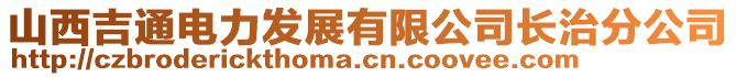 山西吉通電力發(fā)展有限公司長治分公司