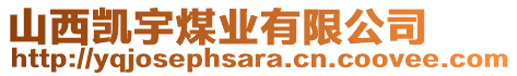 山西凱宇煤業(yè)有限公司