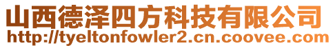 山西德澤四方科技有限公司