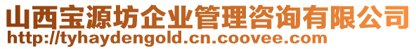 山西寶源坊企業(yè)管理咨詢有限公司