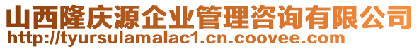 山西隆慶源企業(yè)管理咨詢有限公司