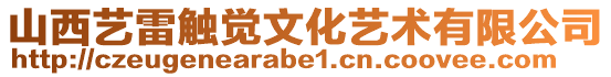 山西藝雷觸覺文化藝術有限公司