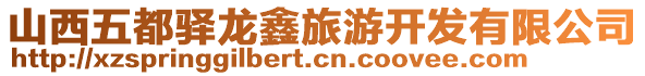 山西五都驛龍鑫旅游開發(fā)有限公司