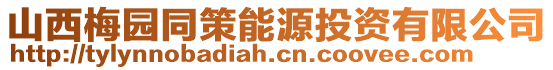 山西梅園同策能源投資有限公司