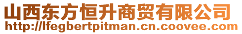 山西東方恒升商貿(mào)有限公司