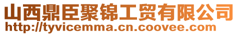 山西鼎臣聚錦工貿(mào)有限公司