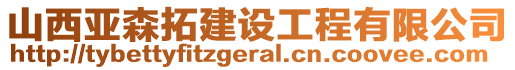 山西亞森拓建設(shè)工程有限公司